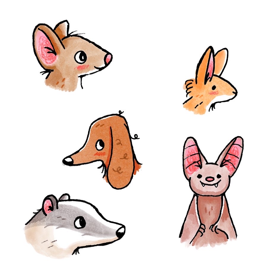 illustration jeunesse animaux aquarelle hyacinthe gioanni