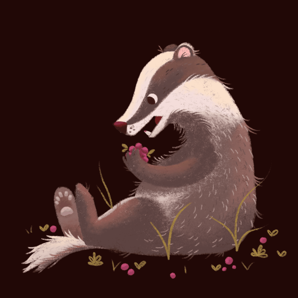 Illustration jeunesse blaireau hyacinthe gioanni portfolio