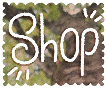 echoppe du farfadet hyacinthe gioanni shop2